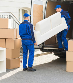 Mudanças compartilhadas